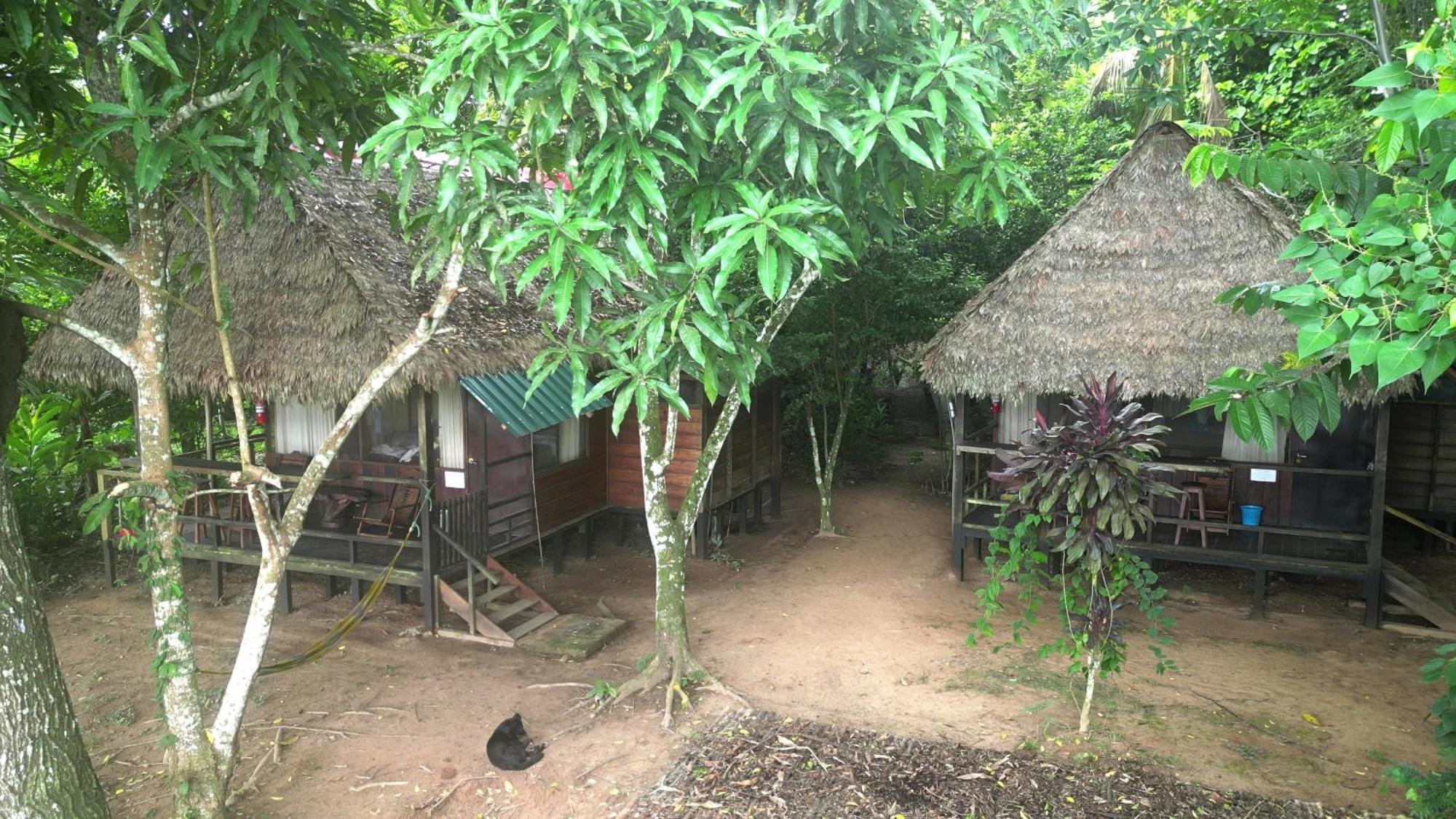 Tambopata River Puerto Maldonado Luaran gambar