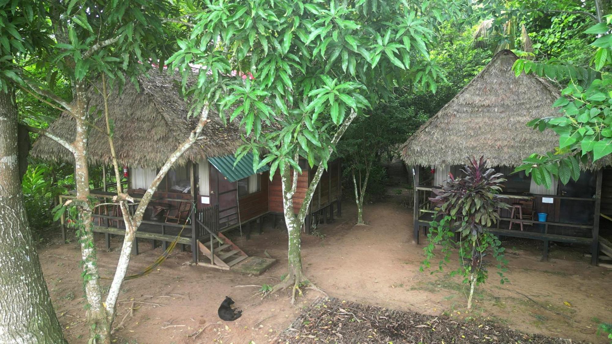 Tambopata River Puerto Maldonado Luaran gambar