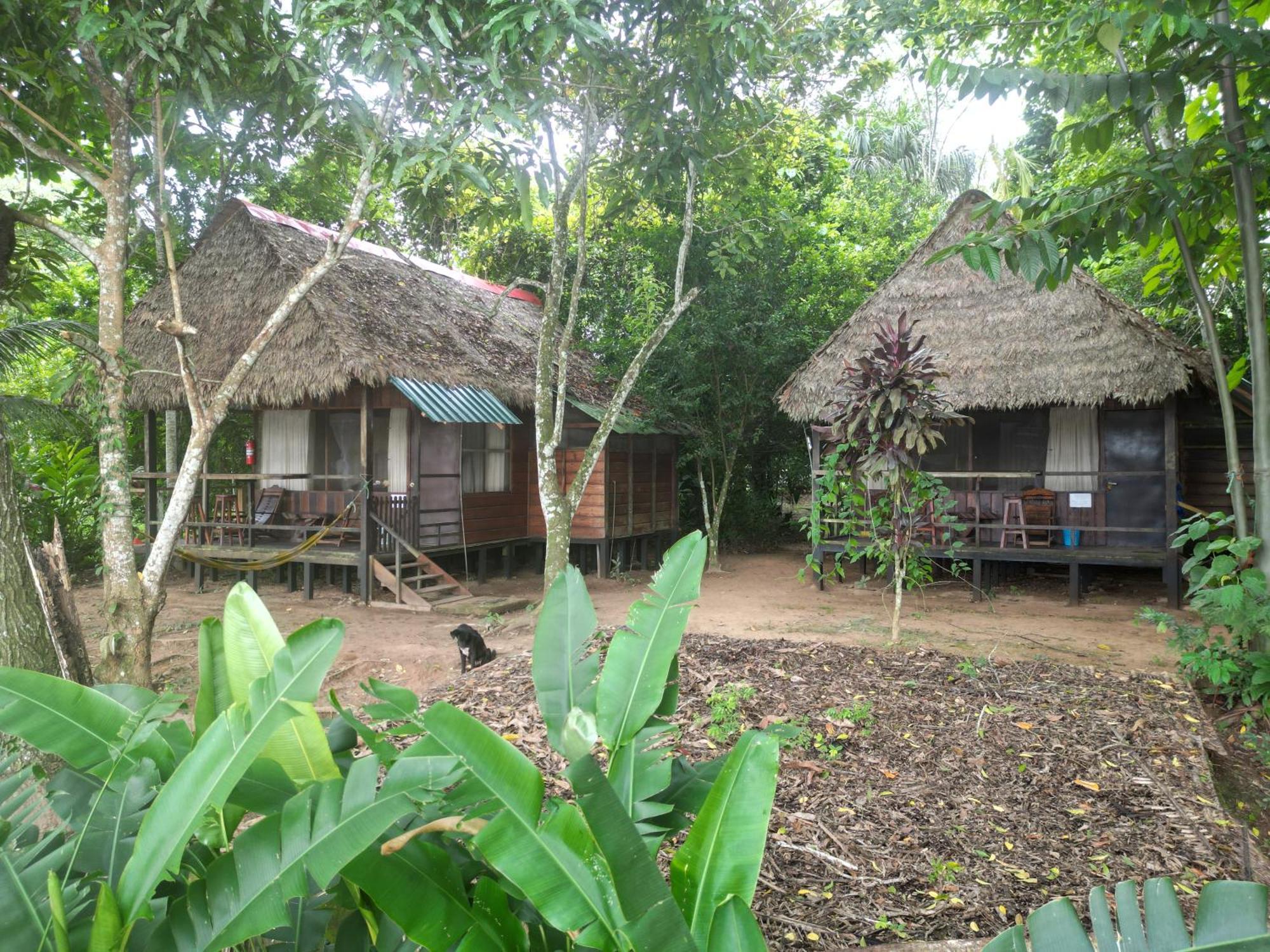 Tambopata River Puerto Maldonado Luaran gambar