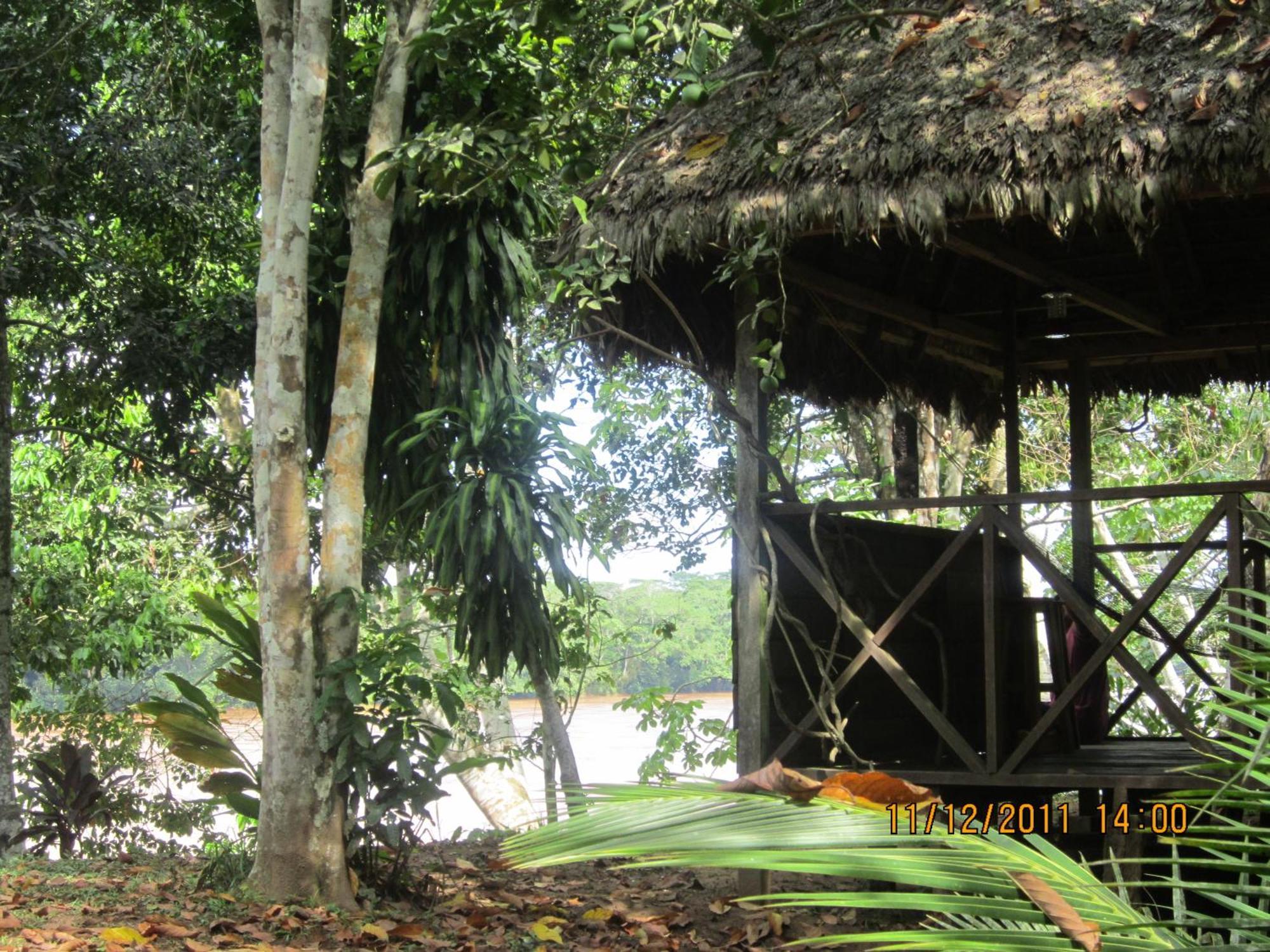 Tambopata River Puerto Maldonado Luaran gambar