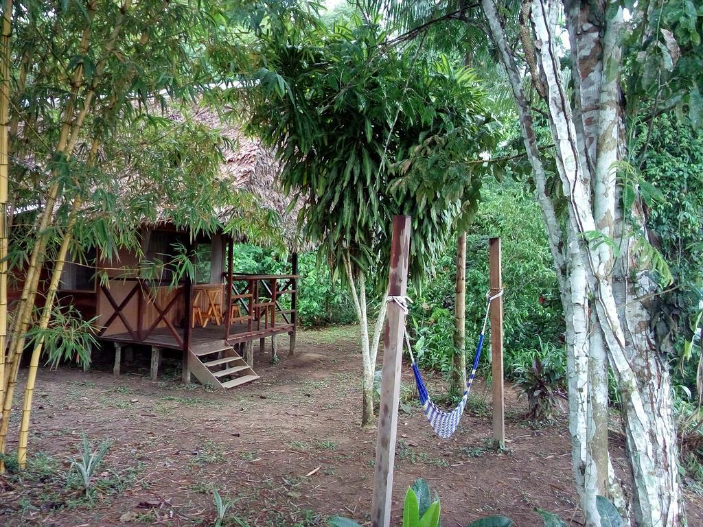Tambopata River Puerto Maldonado Luaran gambar