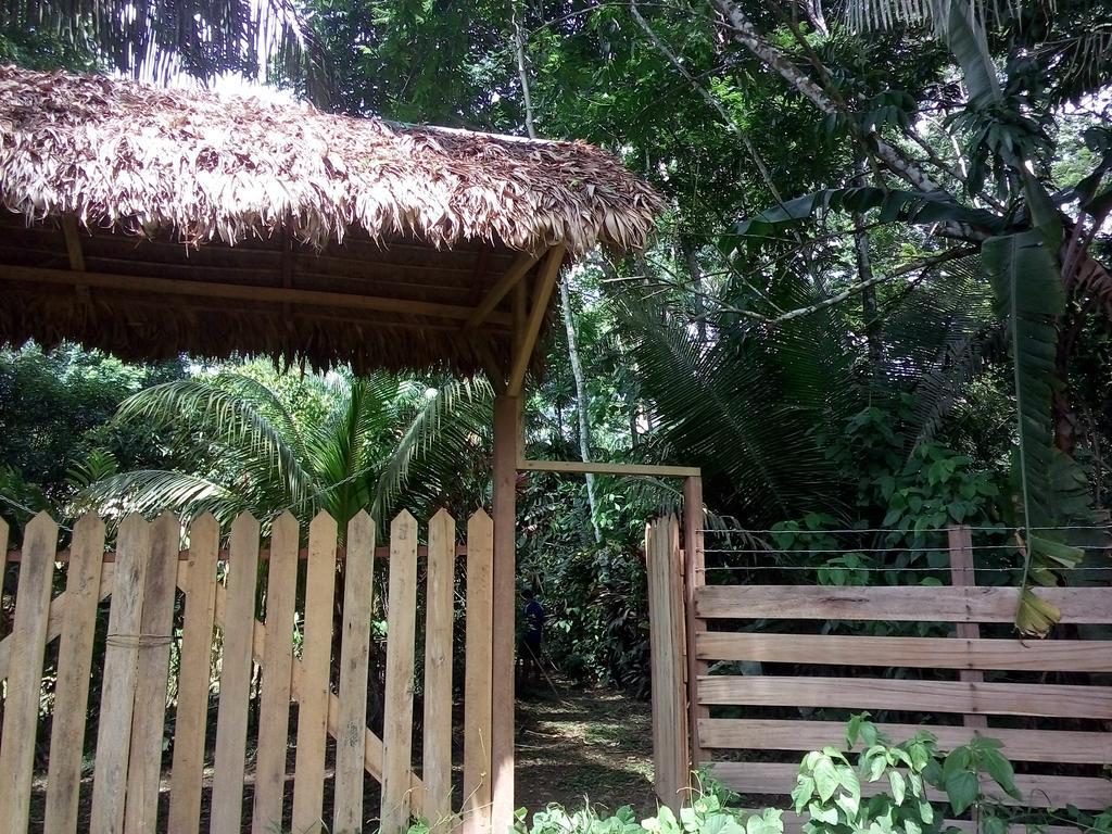 Tambopata River Puerto Maldonado Luaran gambar