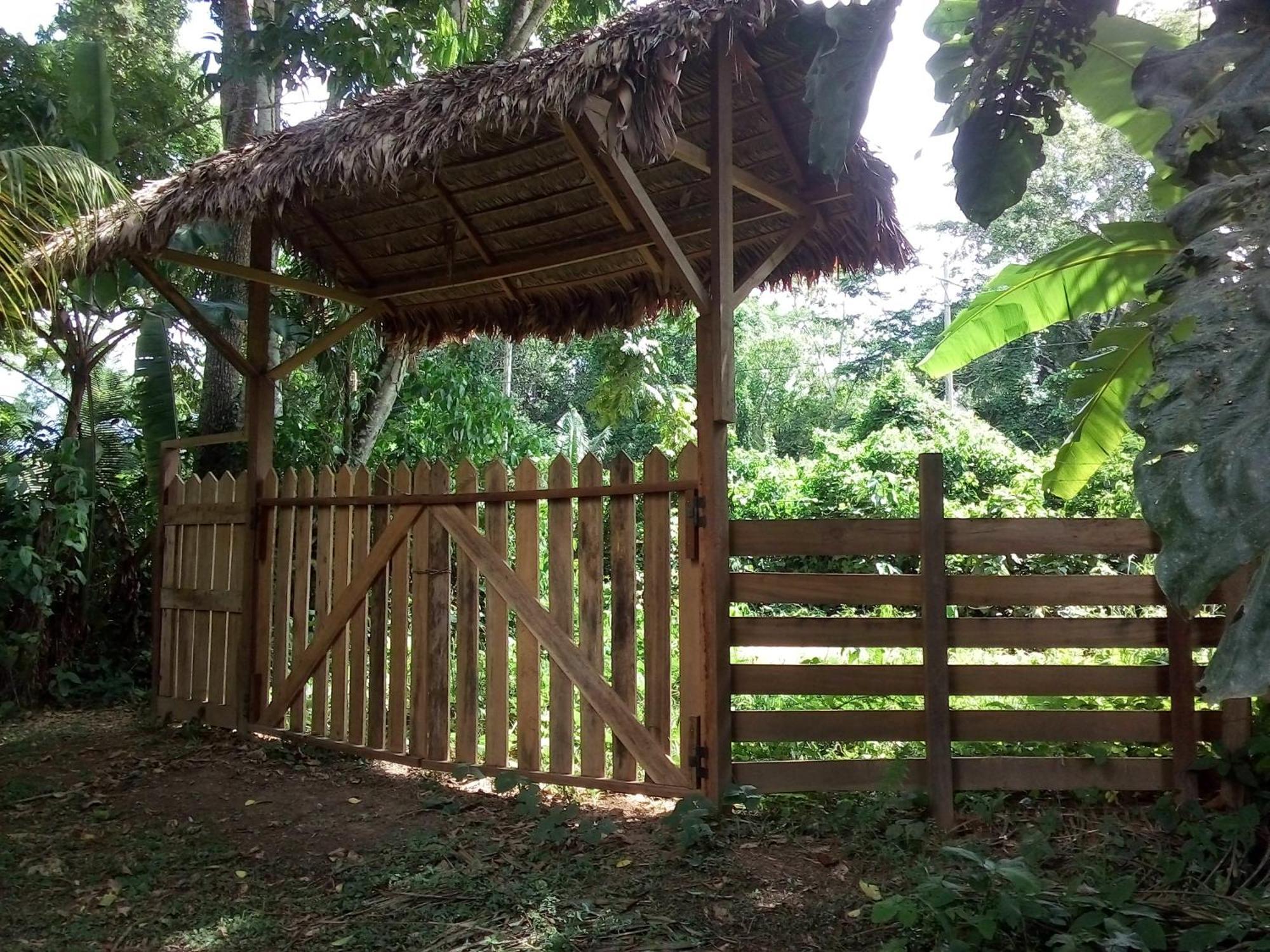 Tambopata River Puerto Maldonado Luaran gambar