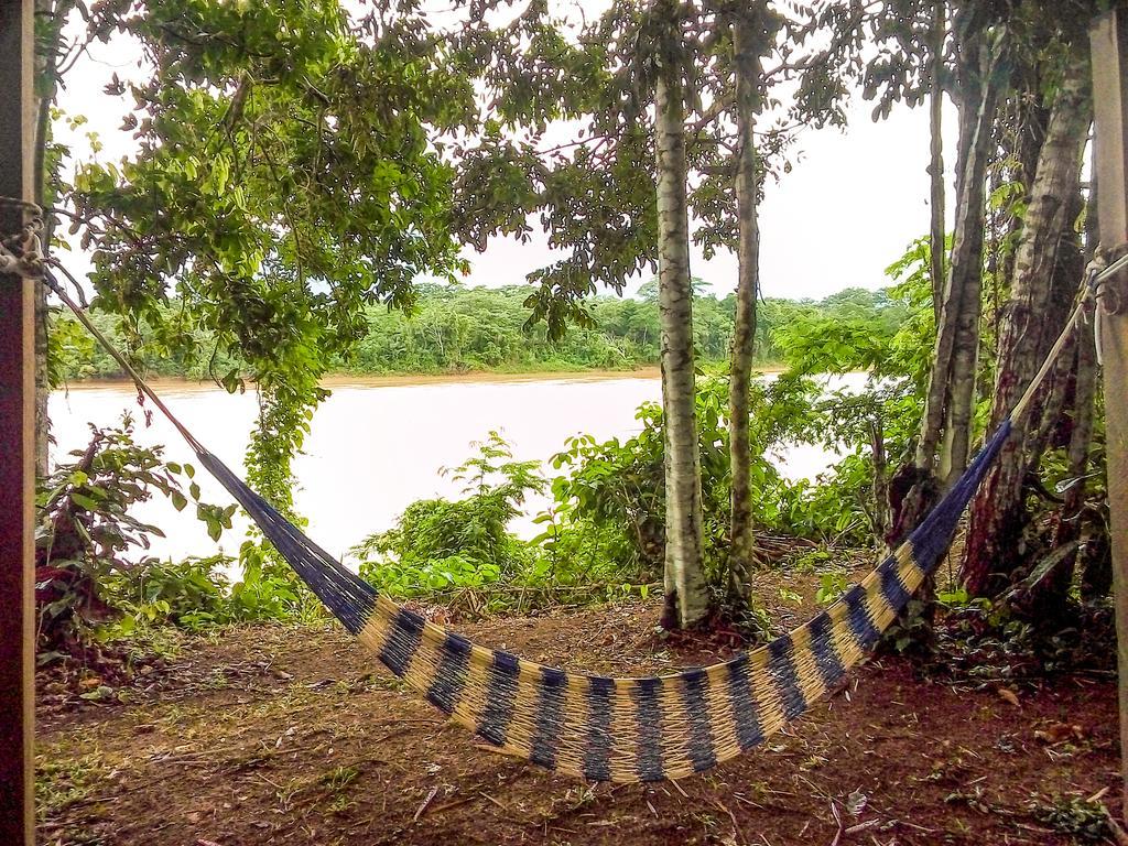 Tambopata River Puerto Maldonado Luaran gambar