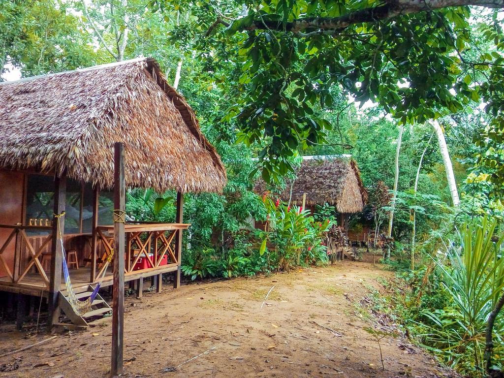 Tambopata River Puerto Maldonado Luaran gambar