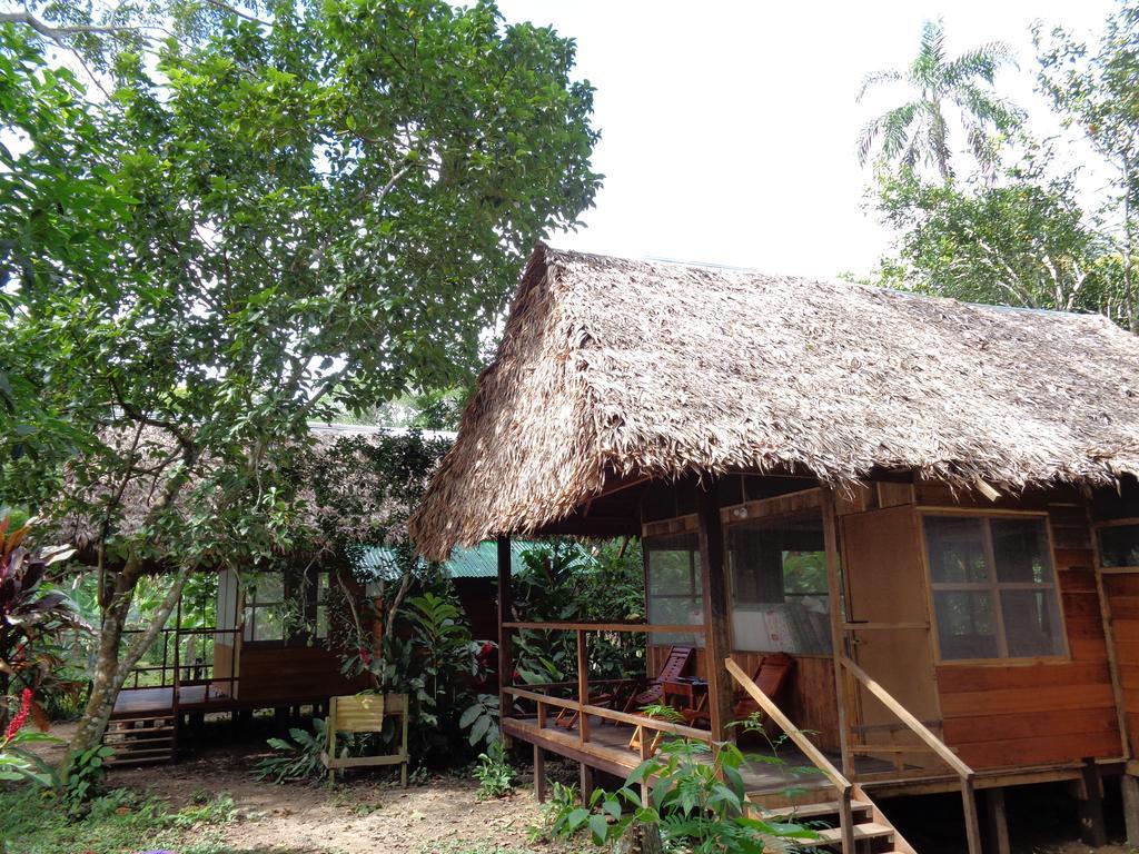 Tambopata River Puerto Maldonado Luaran gambar