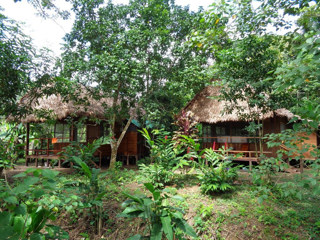 Tambopata River Puerto Maldonado Luaran gambar
