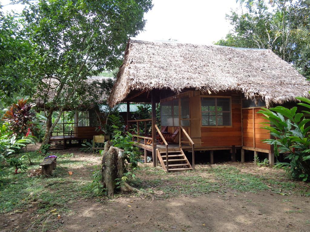 Tambopata River Puerto Maldonado Luaran gambar