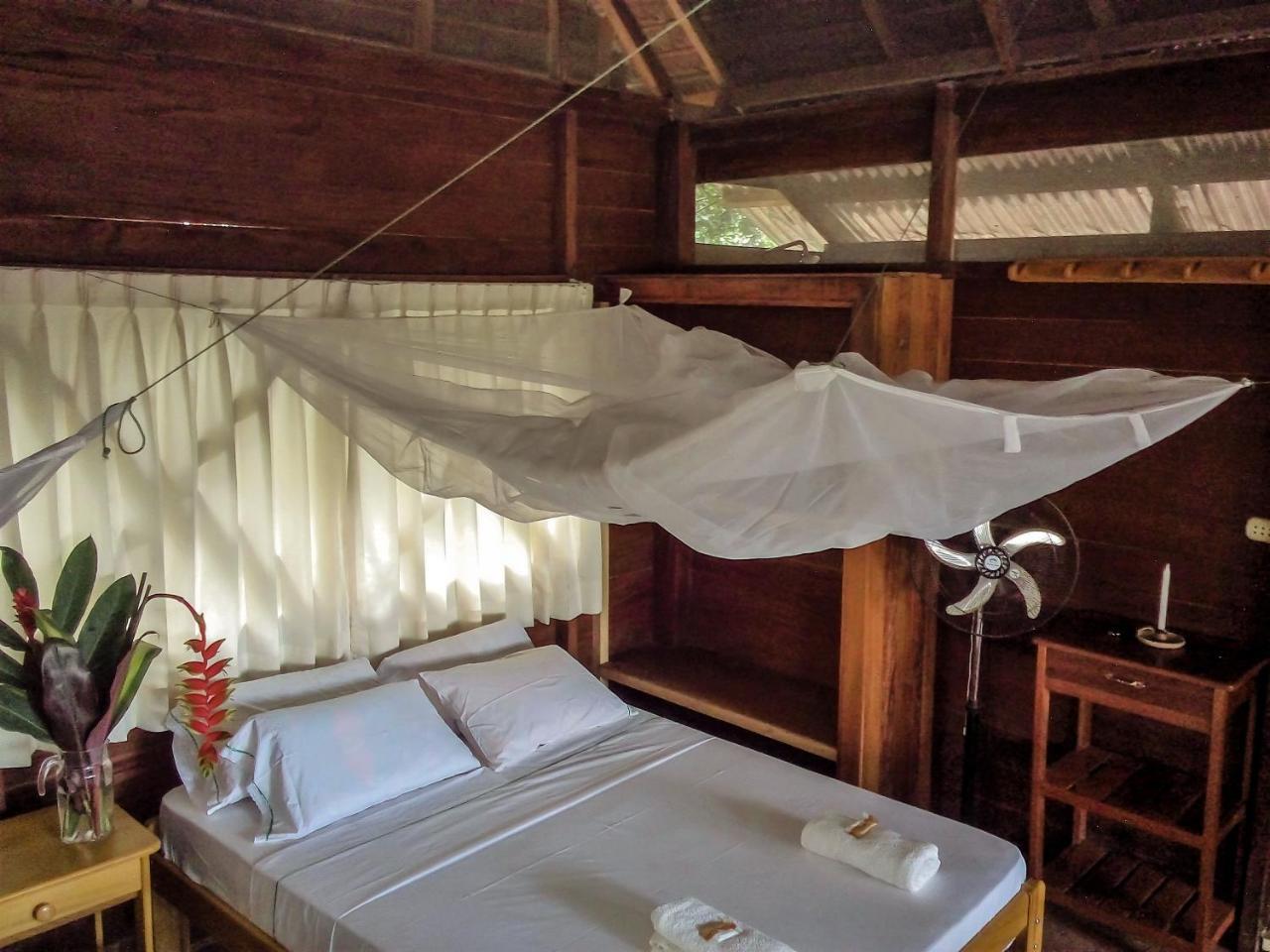 Tambopata River Puerto Maldonado Luaran gambar