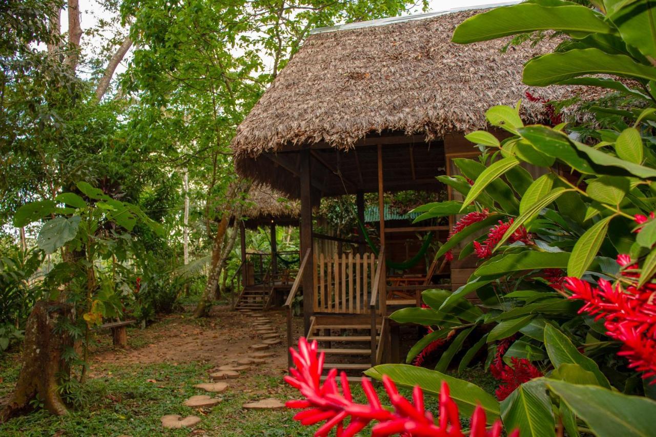 Tambopata River Puerto Maldonado Luaran gambar