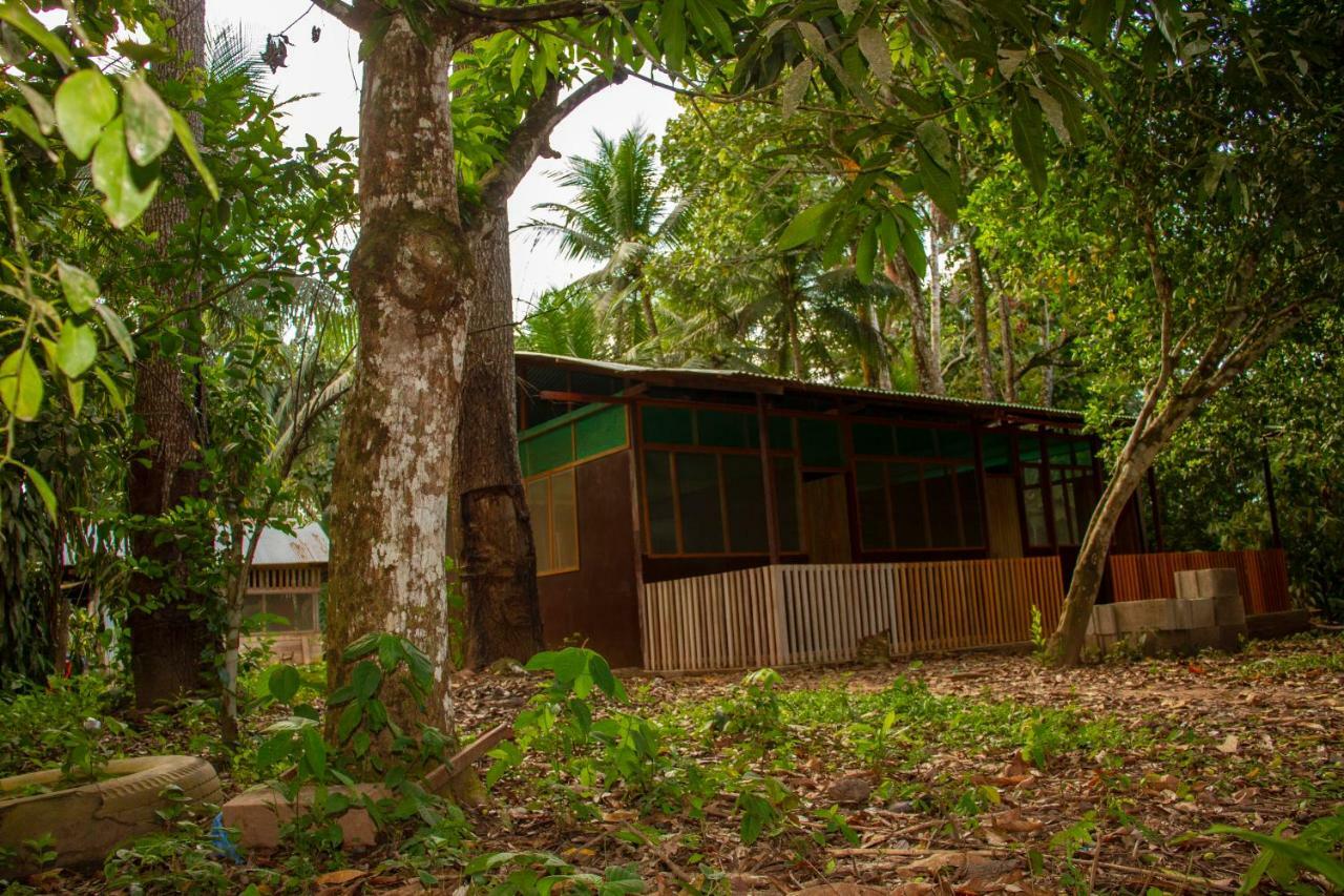 Tambopata River Puerto Maldonado Luaran gambar