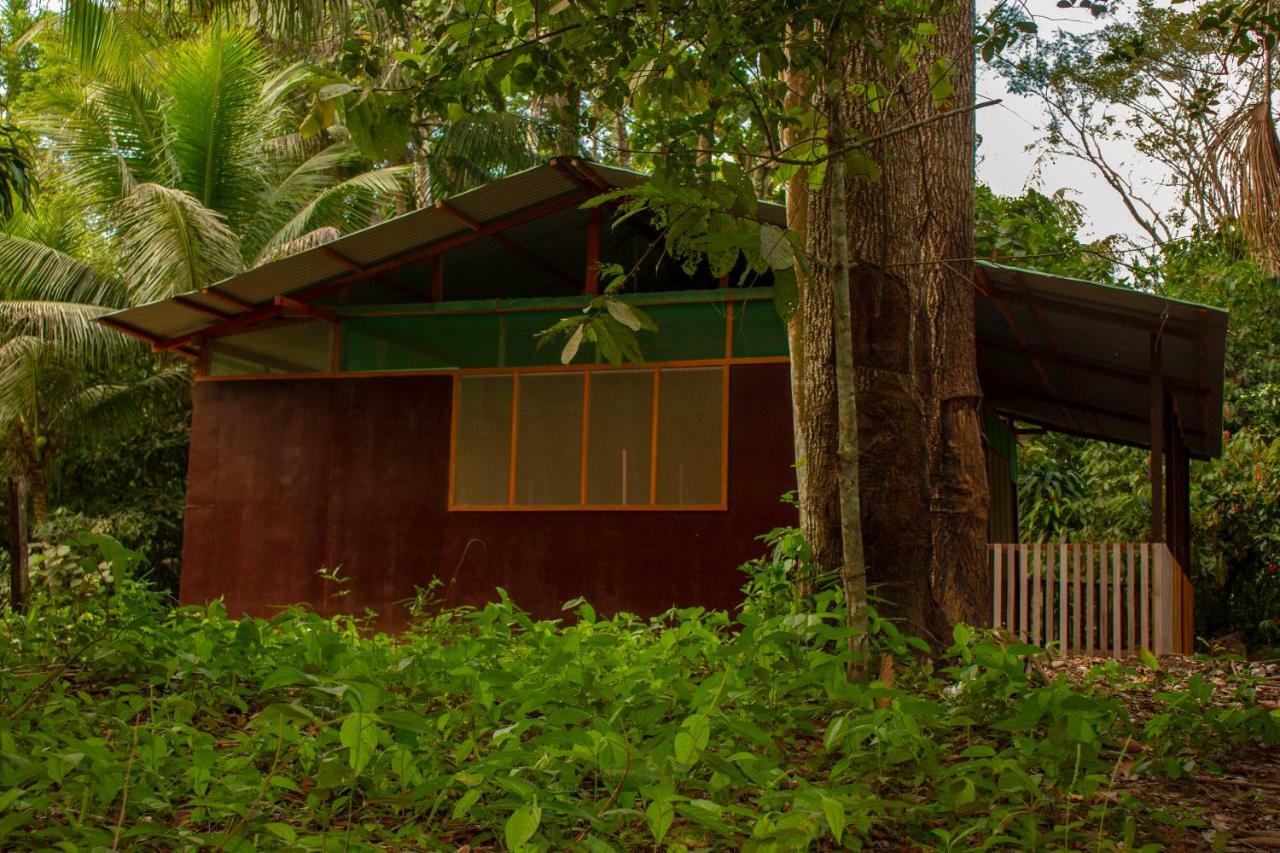 Tambopata River Puerto Maldonado Luaran gambar